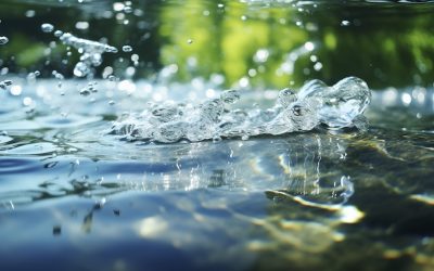 Aguas Dermatológicas vs. Aguas Termales