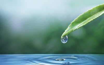 Las aguas dermatológicas en el corazón de la innovación